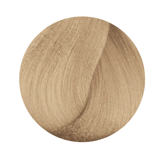 Гель-краска для волос тона 10WN, 60мл