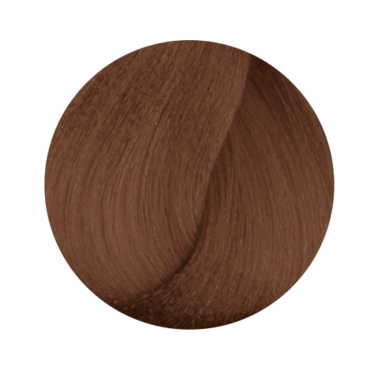 Гель-краска для волос тона 6WN, 60мл